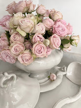 Load image into Gallery viewer, Antique 4 piece ironstone tureen serving set