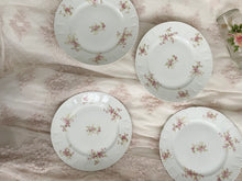 Load image into Gallery viewer, Set 4 GDA Limoges dinner plates