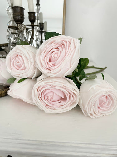 2 LEFT Bouquet of 6 real feel life sized palest pink English cabbage roses long stem