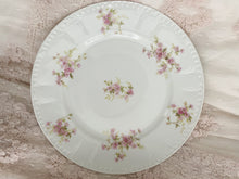 Load image into Gallery viewer, Set 4 GDA Limoges dinner plates