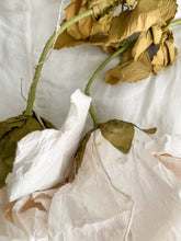 Load image into Gallery viewer, Large vintage crepe roses