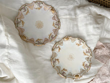 Load image into Gallery viewer, Pair stunning antique french plates with plate hangers