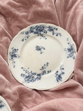 Load image into Gallery viewer, Set of 4 stunning antique English floral large plates
